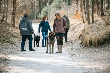 SocialWalk