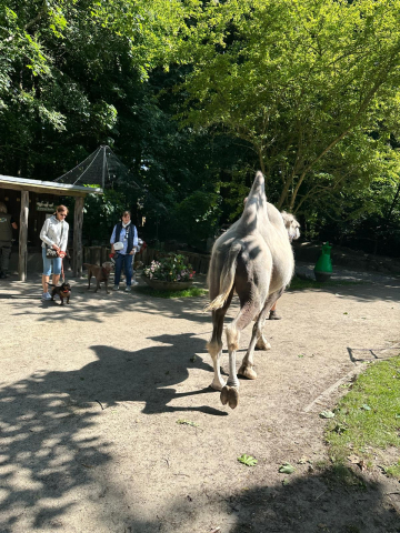 Zoo 1