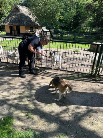 Zoo 2