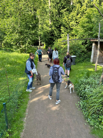 zoo 5