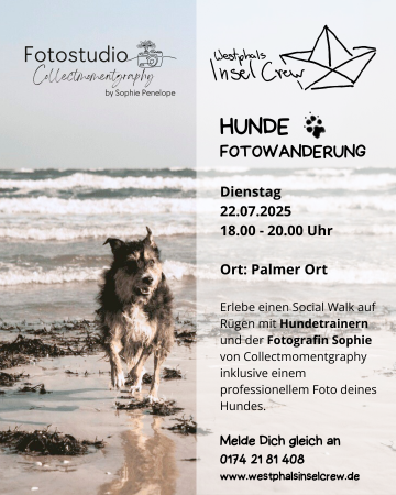 Hunde Fotowanderung 1