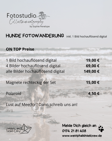 Hunde Fotowanderung 2