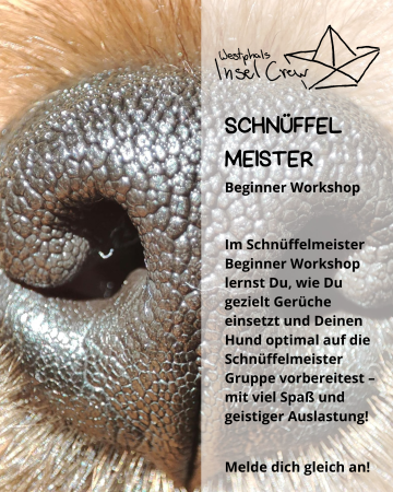 Beginner Workshop